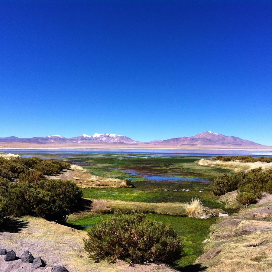 Cota6000 Dpto A Villa San Pedro de Atacama Exteriör bild