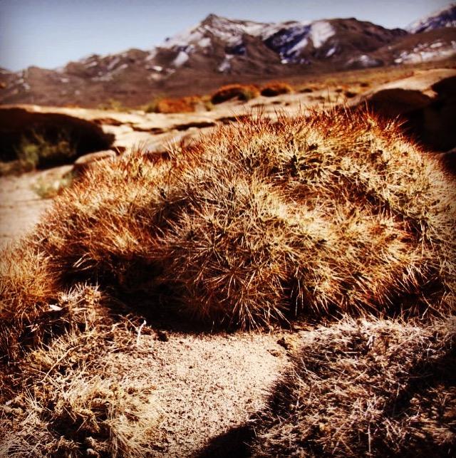 Cota6000 Dpto A Villa San Pedro de Atacama Exteriör bild